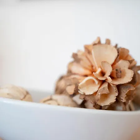 Haus Waidmannsruh Waidmannsheil Appartement Kellenhusen